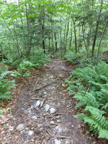 Day 76: Town Hopping