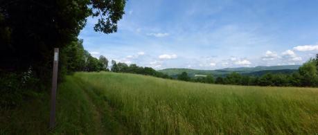Day 76: Town Hopping