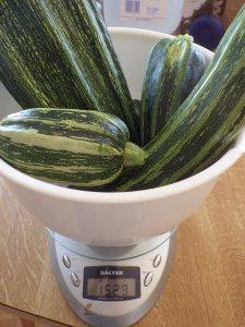 Yesterday's courgette harvest