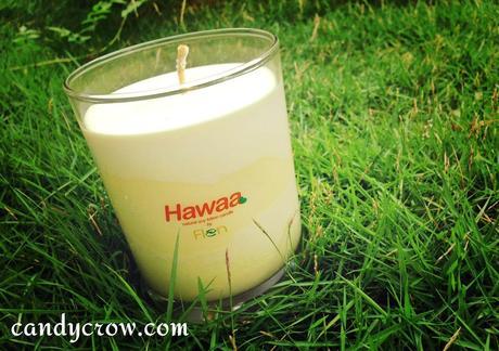 Hawaa - Natural Soy Lotion Candles Review