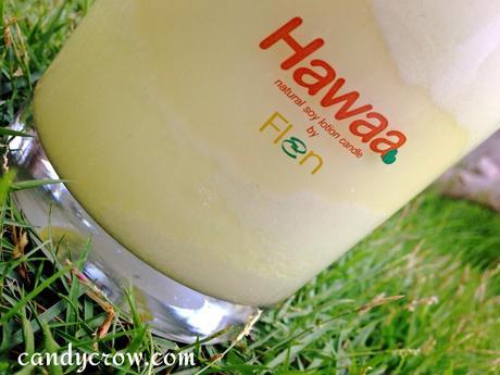 Hawaa  Soy Lotion Candles Review