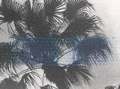 Sunny Glasgow’s When Absent