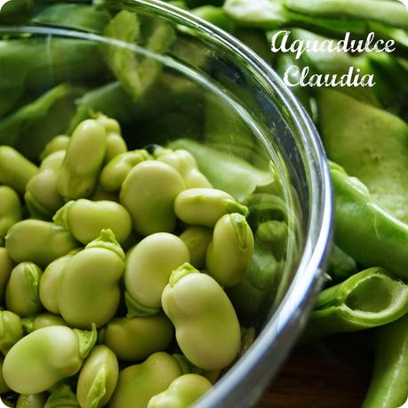 Broad bean 'Aquadulce Claudia' - 'growourown.blogspot.com' ~an allotment blog