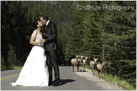 4 Years of Travel Blogging and Living in Germany wedding photo