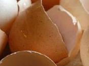 Beauty Uses Eggshells Will Surprised Know