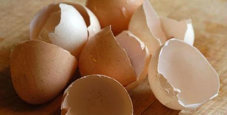 Beauty Uses of Eggshells Beauty Uses of Eggshells