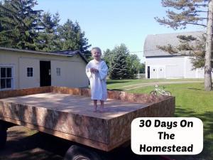 30 Days On The Homestead | LazyHippieMama.com
