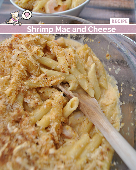 Baked Shrimp Mac and Cheese Recipe