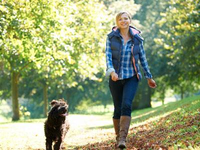 The dog owner without a leash