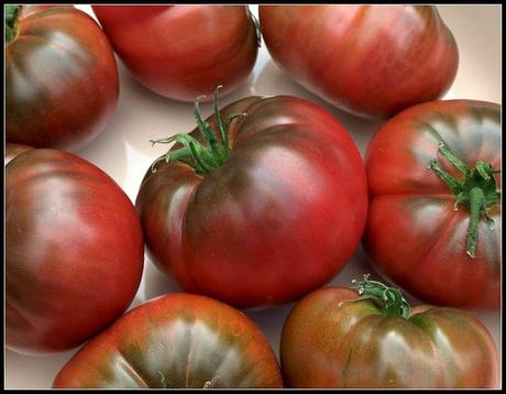 Some strange tomatoes