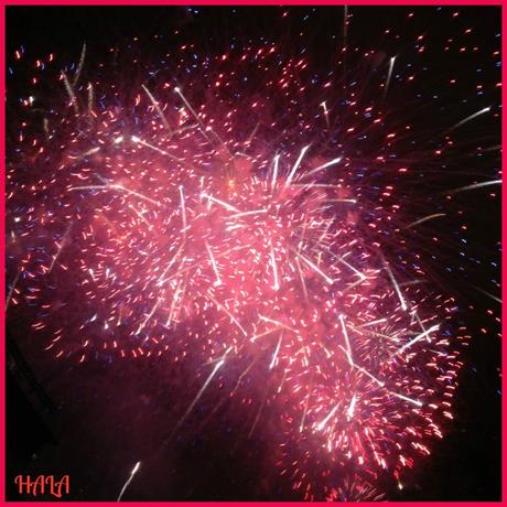 Fireworks 2013 red