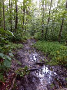 Day 77: A Wet Welcome To Vermont