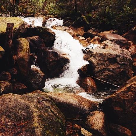 Eurobin Creek rushing down Mt Buffalo #seeaustralia #victoria #vscocam