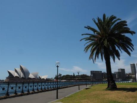 P1110039 シドニーで穏やかな潮風に包まれて / The ocean breeze blows in Sydney