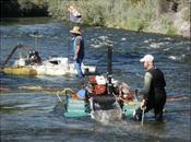 Miners Dredge Protected Idaho River Protest Federal Oversight