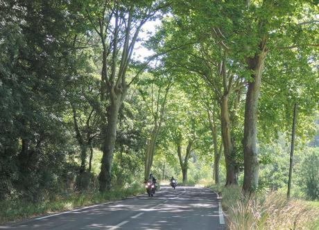 Ejemplo de típica carretera secundaria francesa.