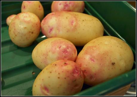 Potatoes. Not all good-looking ones!