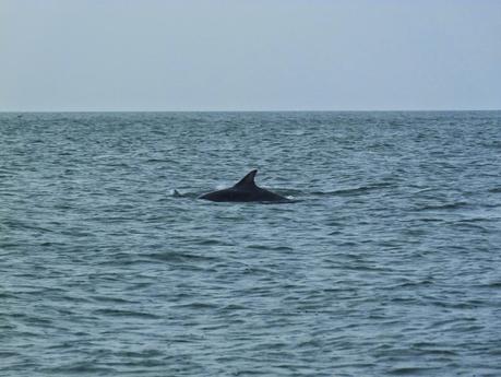 Views from a week in Wales Views from a week in Wales