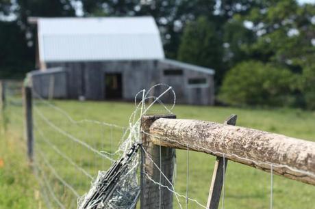 Fence Coil and Barn