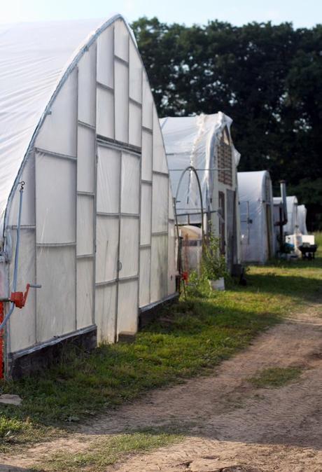 Greenhouses Row