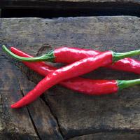 chillies