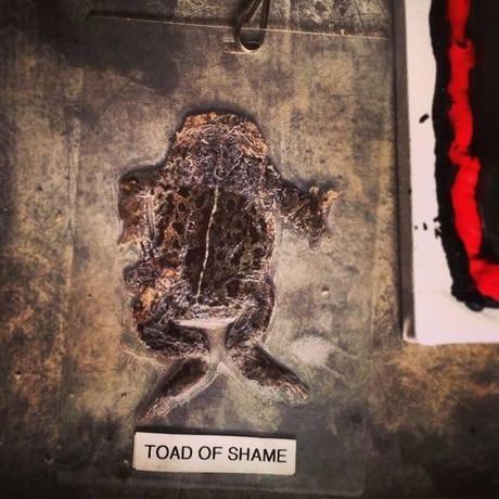 Stephen Moyer Explains “The Toad of Shame” toadofshame