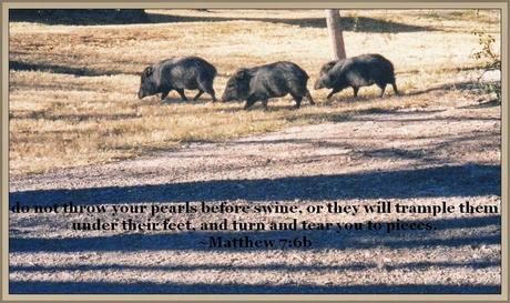 Different thoughts and quotes