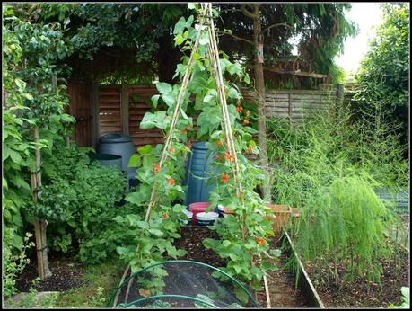 Garden Share Collective - July 2014