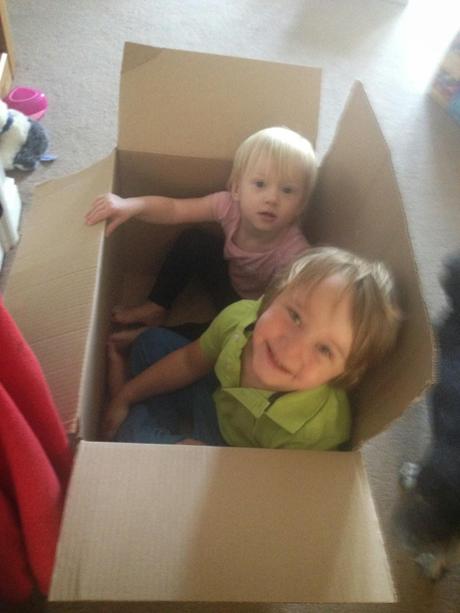 Toddlers and boxes