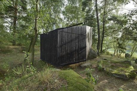 build | forest retreat