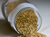 Gluten Free Commentary: A+mazing Health Benefits Flax