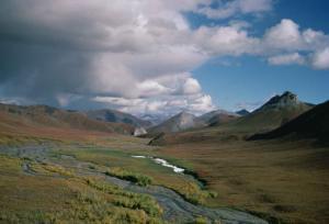 National-WIldlife-Refuge-Pic