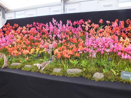 RHS Hampton Court Flower Show 2014 - Floral Marquee