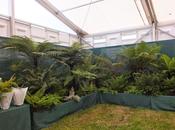 Hampton Court Flower Show 2014 Floral Marquee