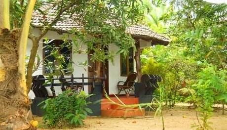 Big Banana Island Retreat, Chendamangalam, A Perfect Place to Spend Your Vacation in Solitude