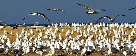 Karli Backwater, an Amazing Experience