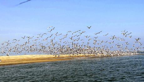 Karli Backwater, an Amazing Experience