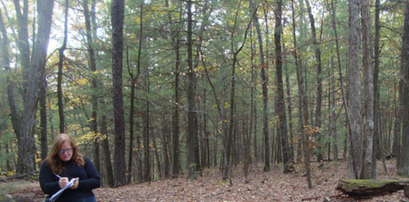 Here I am, writing in the Walden Woods: October, 2011