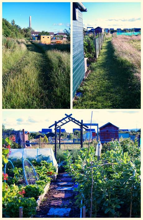 Evening delight at the Lottie