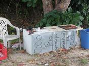 Wednesday Wander: Produce Puerto Rico