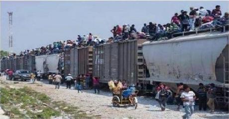 Rio Grande illegals