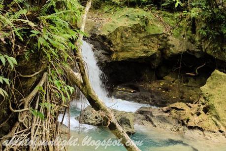 Travel Log: Kawasan Falls, Cebu