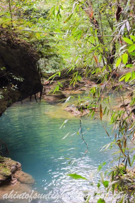 Travel Log: Kawasan Falls, Cebu