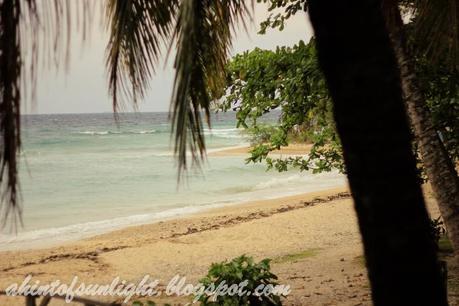 Travel Log: Kawasan Falls, Cebu