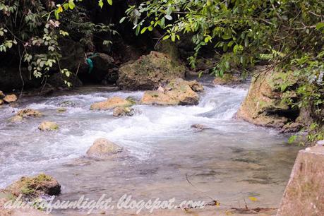 Travel Log: Kawasan Falls, Cebu