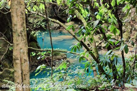 Travel Log: Kawasan Falls, Cebu