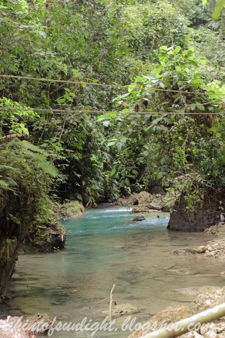 Travel Log: Kawasan Falls, Cebu