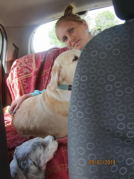 Mullaghmore July 2014