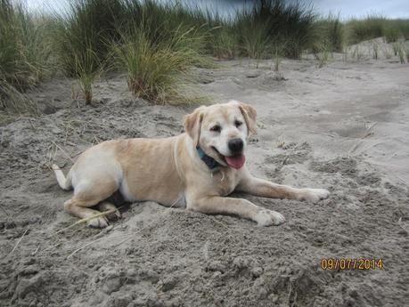 Mullaghmore July 2014