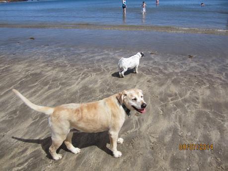 Mullaghmore July 2014